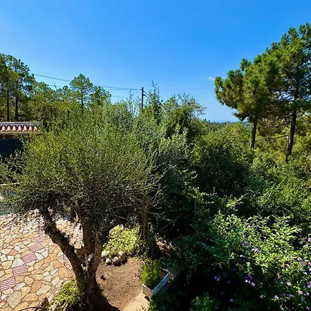 Guest house Villa Lloret De Mar Lloret de Mar